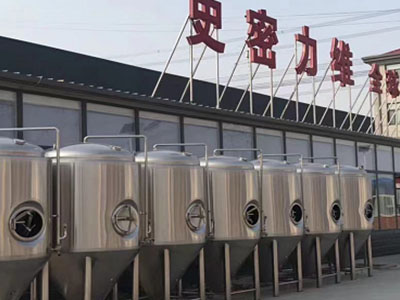 哈尔滨精酿啤酒设备厂—如何判断精酿啤酒设备的密封件需要更换？